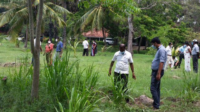 Tree Plantation at GA Bungalow